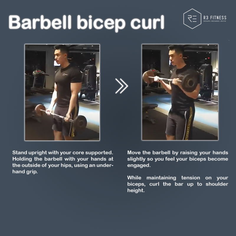 barbell-bicep-curl-triceps-biceps-workouts