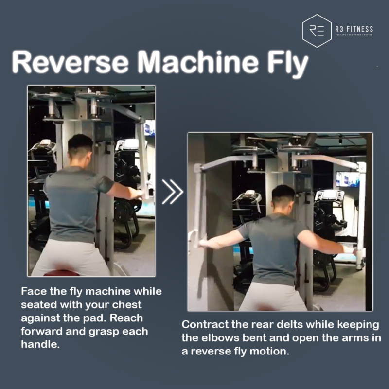 reverse machine fly-shoulder workouts