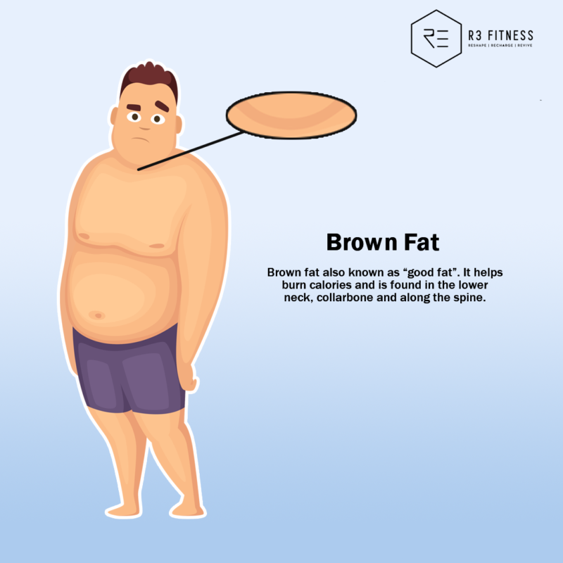The types of body fat - R3 Fitness