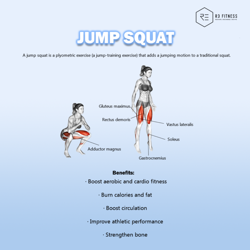 What muscles do squats work?